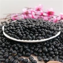 2016 Chinese Wholesale big black bean